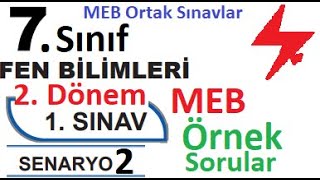 7 Sınıf Fen Bilimleri 2 Dönem 1 Yazılı Örnek Senaryo Çözümleri  Senaryo 2  MEB Örnek Sınav Soru [upl. by Annayek]