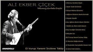 Ali Ekber Çiçek  El Vurup Yaremi İncitme Tabip Official Lyric Video [upl. by Calie281]