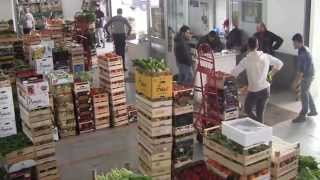 Fevi Frutta Srl  Ingrosso Ortofrutta  Policoro Matera Italia [upl. by Selrac]