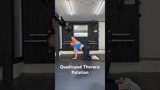 Quadruped Thoracic Rotation [upl. by Lanor]