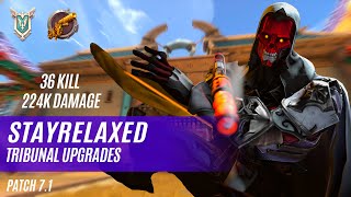 CRAZY 36 KILL 224K DAMAGE STAYRELAXED VII PALADINS COMPETITIVE MASTER TRIBUNAL UPGRADES [upl. by Elbertina691]