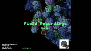 Field Recordings  Hyphae  05 Zacks Cold Train [upl. by Larimore]