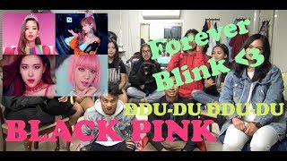 DIVERSITY Blackpink  뚜두뚜두 DDUDU DDUDU Reaction Video  SPECIAL GUEST DOGGO [upl. by Marvel313]