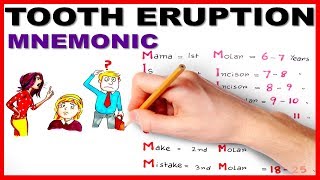 Eruption of Teeth  Easiest way to remember [upl. by Nylodnew801]