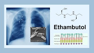 ethambutol [upl. by Luo]