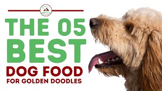 The Best Dog Food for Goldendoodles [upl. by Minerva]