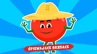 Śpiewające Brzdące  Pomidorek  Piosenki dla dzieci 🍅🍅🍅 [upl. by Rhyner]