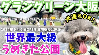 【グラングリーン大阪】話題の新スポット世界最大級の【うめきた公園】徹底リポート！犬と行けるお店カフェ紹介🐶 犬連れ必見！ [upl. by Nirred]