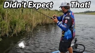 How to Fish a Spinnerbait  Scott Martin  Everything you need to know [upl. by Heron534]