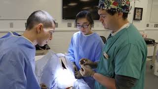 Cornell University SynDaver canine surgery lab students guidance [upl. by Naletak841]