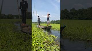 Wow Unbelievable Fishing video 2024   part 54  fishing viralvideo fish shortvideo [upl. by Marcia]