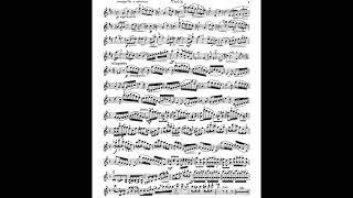 Seitz Violin Pupils Concerto No1 Student 賽茲 賽滋 小提琴 學生 協奏曲 第一號 Score Sheet 譜 樂譜 乐谱 Partitura【Kero】 [upl. by Auqenet]