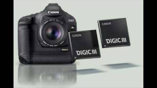 Preview CANON EOS 1Ds mark III [upl. by Anayeek462]