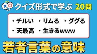 【若者言葉・ネットスラング】コメント欄・SNSで見かける若者言葉やネットスラングをクイズ形式で楽しく学ぶ！ [upl. by Tonie]