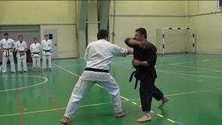 Shorin Ryu Karate Do  Okinawan Kobudo  Self Defense [upl. by Collimore37]