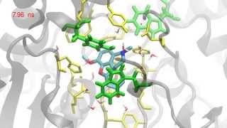 Crystal Structure of Recombinant Human Acetylcholinesterase in Complex with Galantamine [upl. by Lapham102]