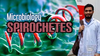 MicrobiologySpirochetes বাংলায় [upl. by Aba]