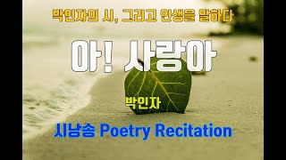 시낭송 Poetry Recitation 아 사랑아  시amp낭송 박인자  곡 채희빈 눈물을 닦아주오공유마당  좋은 시 사랑 시 그리움 연모 [upl. by Steel566]