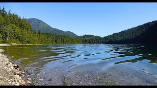 At Lakes Edge  Lapping Water Sounds [upl. by Hoyt]