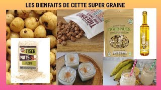 LES BIENFAITS DE CETTE SUPER GRAINE  TIGER NUT OU NOIX TIGRÉE [upl. by Aidahs]