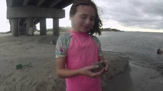 Jumping off the Longport Bridge Ocean City NJ [upl. by Lilllie]