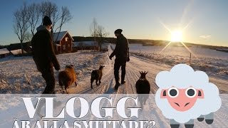 Därför dog han Är de andra smittade  VLOGG 107 [upl. by Bust]