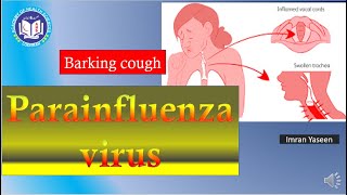 Human Parainfluenza virus causes croup or barking cough  Virology  by Imran Yaseen [upl. by Ecnerret236]