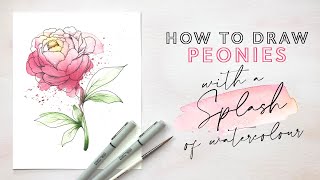 How to Draw a Peony with a Splash of Watercolour [upl. by Nowaj]