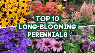 10 Long Blooming Perennials for a Colorful Garden 👌🌿💚  PlantDo Home amp Garden 🍃 [upl. by Meghann130]