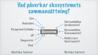 Ekosystem [upl. by Llenrrad]