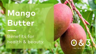 Mango Butter benefits for skin and hair [upl. by Gregor793]