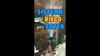 Como hacer un SISTEMA de RIEGO por GOTEO FÁCIL y RECICLABLE SHORTS [upl. by Adiahs273]