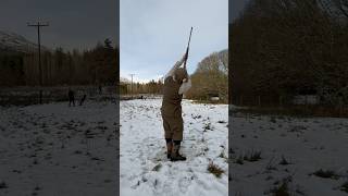 Driven Pheasant Shooting with Labrador Retriever Gundog dog shot pegdog [upl. by Kinnie]