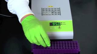 Alu PV92 Detection by PCR [upl. by Sieracki]