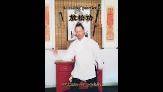 Wudang Basics Fang Song Gong 2 [upl. by Wes445]