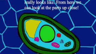 Biology Cells [upl. by Clite]