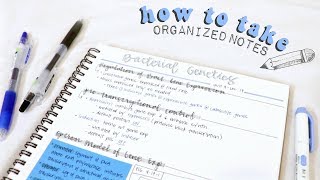 how to take organized notes amp study effectively  christylynn [upl. by Gwendolyn256]