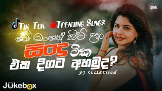 2024 Tik Tok Hit Songs මේ මාසේ හිට් උන ටික එක දිගට අහමු Tik Tok Hit Songs playlist 2024 [upl. by Nosiaj315]