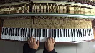 Cóncavo y Convexo Roberto Carlos cover PIANO Acústico Instrumental [upl. by Bills]