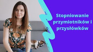 Stopniownie przymiotników i przysłówków [upl. by Ripley779]