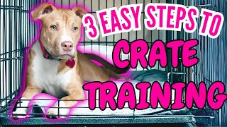 3 Easy Steps To CRATE TRAINING Your Dog or Puppy [upl. by Nealson452]