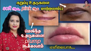 How to make Dark Lips into Pink Lips amp Plump Lips  Tamil  Vasundhara Beautician  Nayaki Tv [upl. by Enyallij]