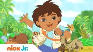 Go Diego Go  Música de abertura 🎤  Nick Jr [upl. by Yleoj735]