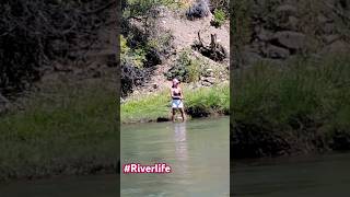 riverside Animas River Durango Colorado [upl. by Rhys]