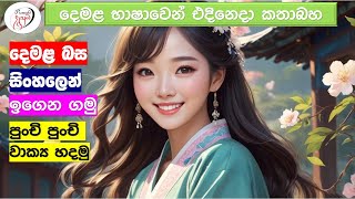 අපි දෙමළ කතා කරමු  මූලික පාඩම්  Lets Speak Tamil  Basic to Advanced Lessonsquot  Punchi Danuma [upl. by Lawrence317]