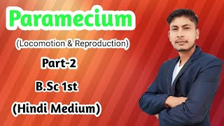 Paramecium  Locomotion And ReproductionBSc 1st Hindi Medium [upl. by Llechtim]