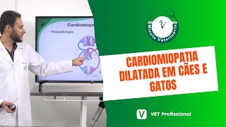 Cardiologia Veterinária Cardiomiopatia Dilatada [upl. by Erlinna]