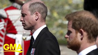 William amp Harry arrive together for Diana statue unveiling  AFP [upl. by Sansen]