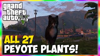 GTA 5 Every Peyote Plant Location on GTA 5 ALL 27 PEYOTE PLANTS 2727 Peyote Plants on GTA 5 [upl. by Auqkinahs219]