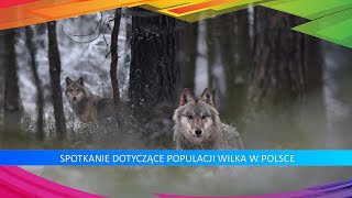 Populacja Wilka w Polsce [upl. by Harts]